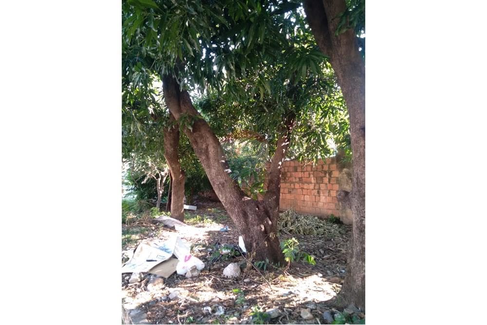 Vendo Terreno En Barrio Jara