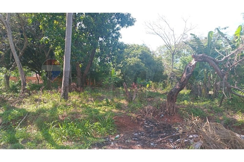 Terreno - Venta - Ñemby, Paraguay, invierte y planifica!, foto 3