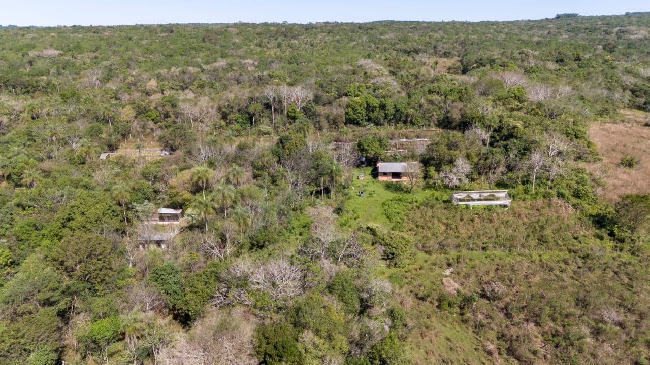 Terreno en Venta Piribebuy, foto 3