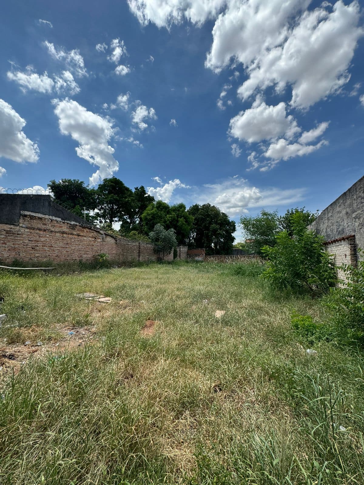 terreno en Barrio Herrera 14x33,5 m2 Superficie: 469 m2 — foto 5