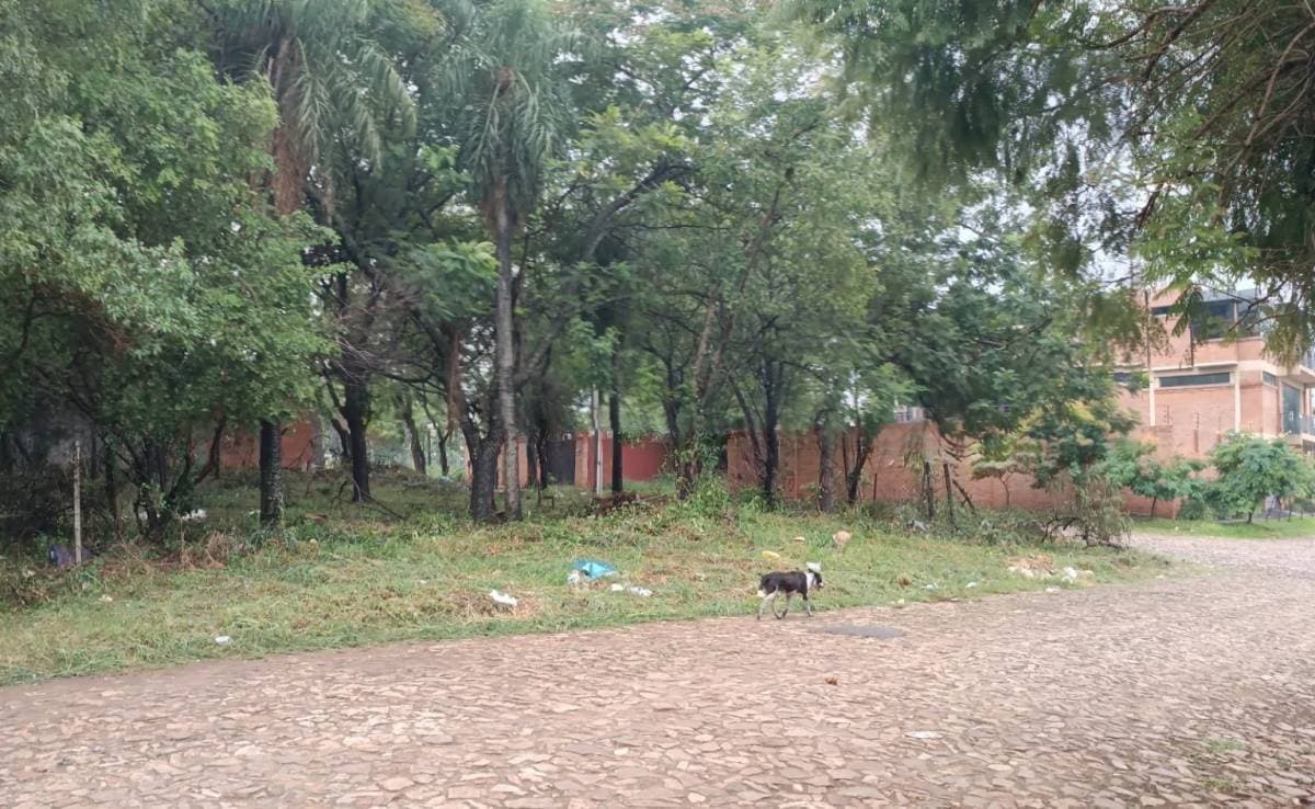 terreno en esquina en Luque - Tercer Barrio, foto 4