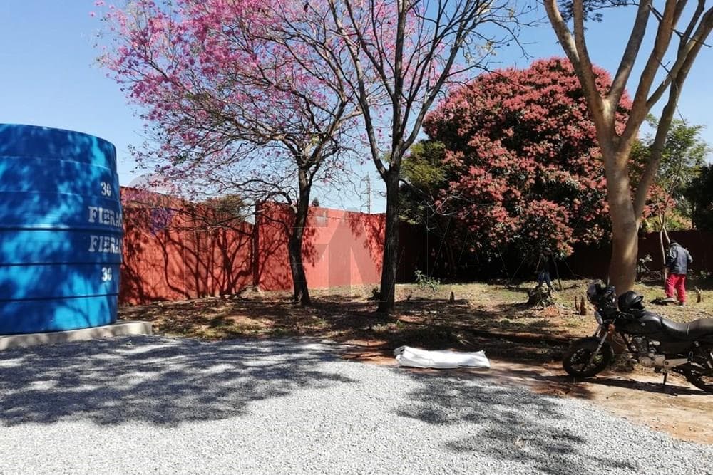 Venta-deposito-fdo de la mora, foto 4