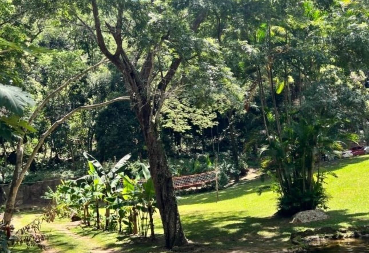 Tu paraíso soñado en venta 8 hectáreas en paraguari, foto 4