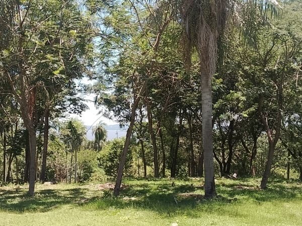 Terreno en altura y con vista al lago, en condominio la sierra !, foto 5