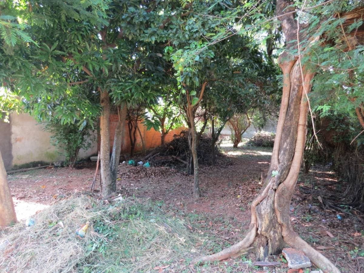 Terreno en Barrio Cerrado La Floresta – Oportunidad única en Luque, foto 2