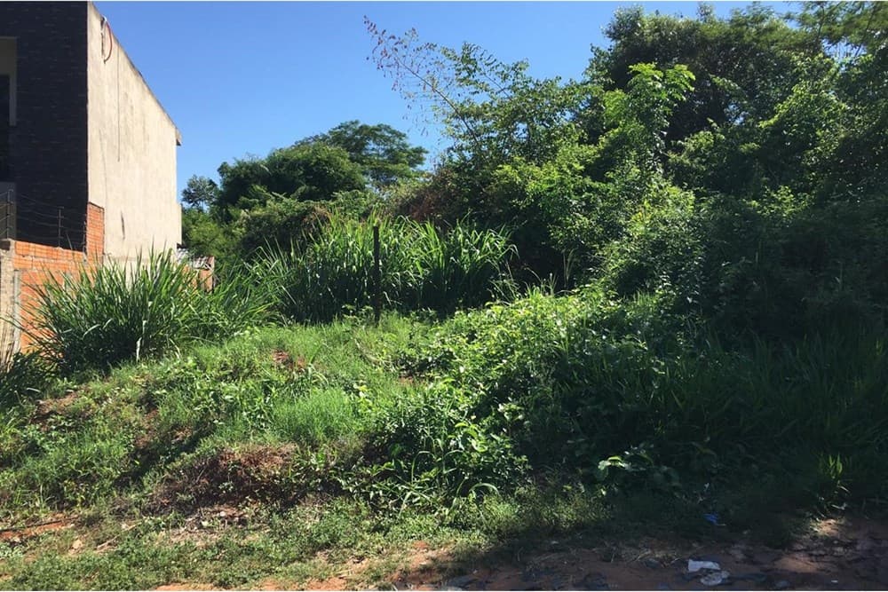 Terreno - Venta - San Lorenzo, Paraguay, foto 2