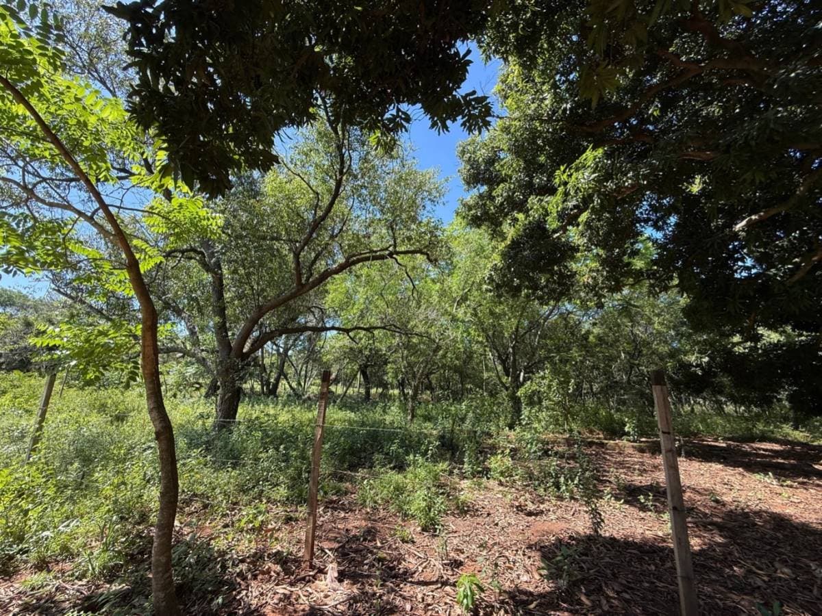 En venta amplio terreno en Luque, foto 2