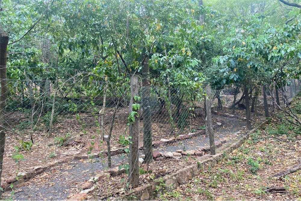 Terreno - Venta - Paraguay Cordillera San Bernardino, foto 2