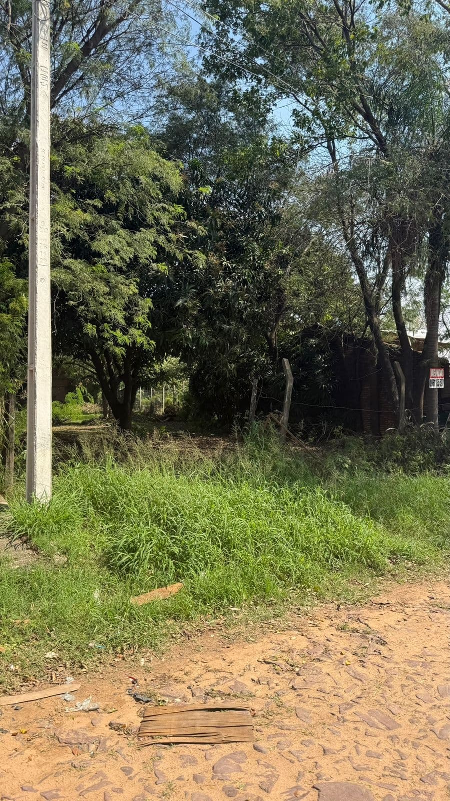 TERRENO EN Luque (Entrada al Barrio Palma Loma), foto 3