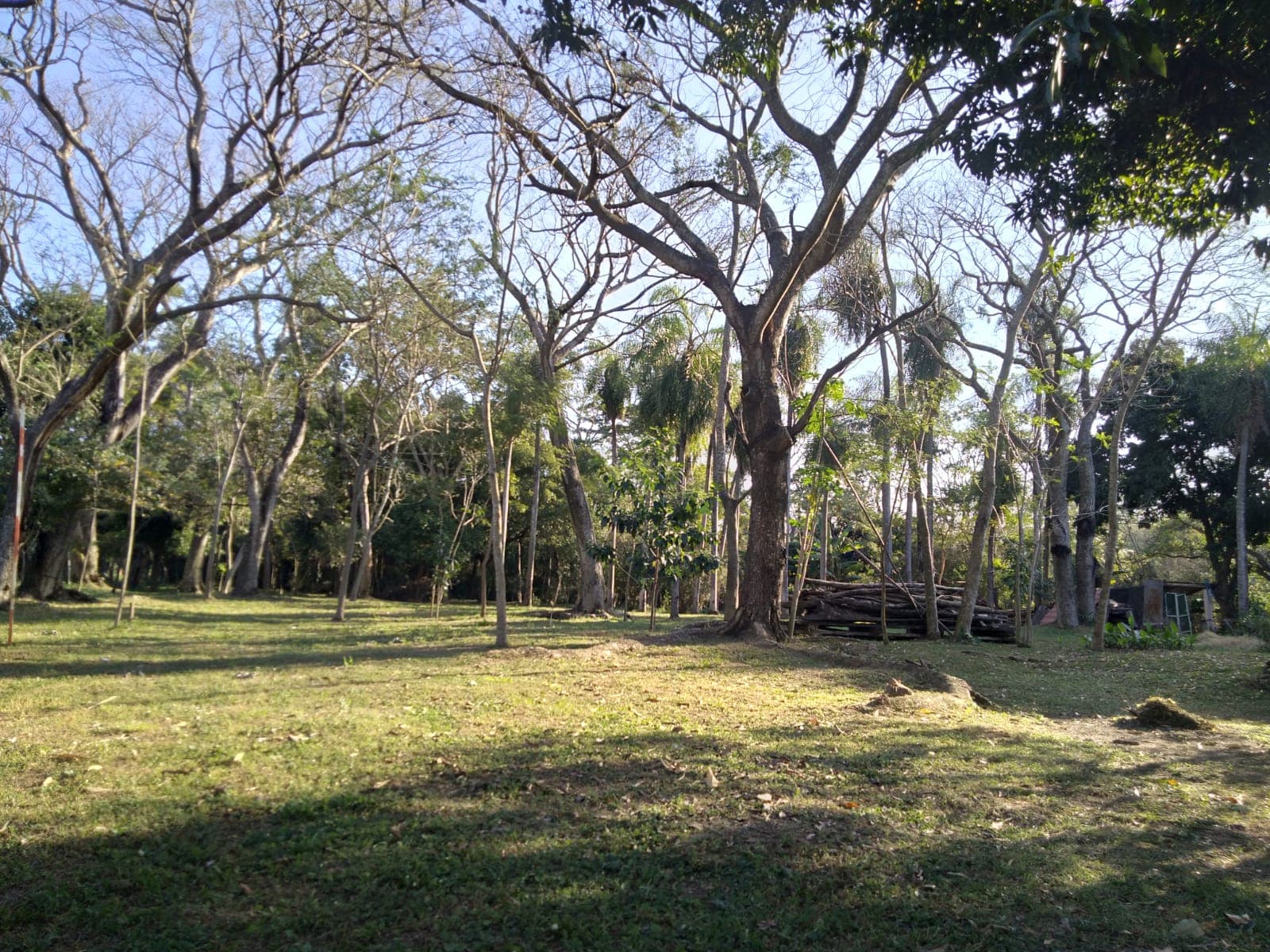 Propiedad Especial Para Casa Quinta - Ruta Paraguari - Pirayu, foto 3