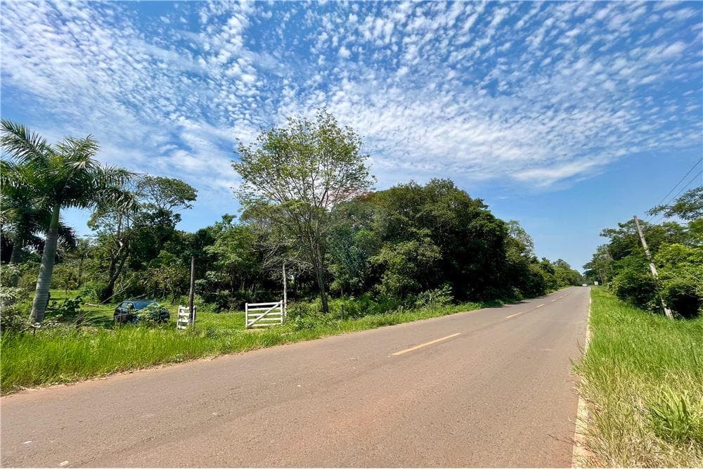 Vendo terreno en nueva italia sobre ruta 5 hectareas