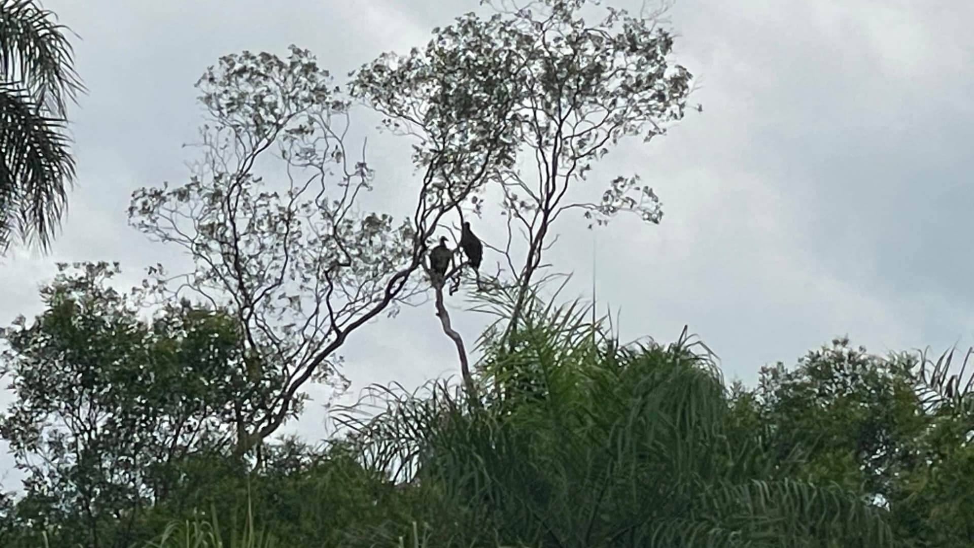 Hermosa Propiedad De 39 hectáreas en Barrero, foto 4