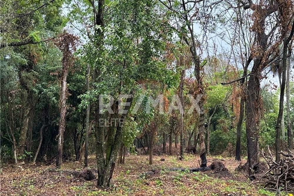 "Oportunidad Perfecta: Terreno en San Bernardino", foto 2