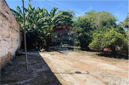 Terreno en venta, Fernando de la Mora, foto 4