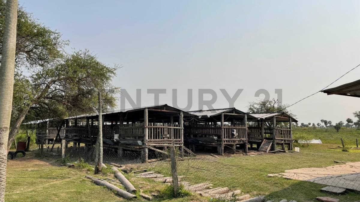VENDE Estancia en Benjamín Aceval — foto 5