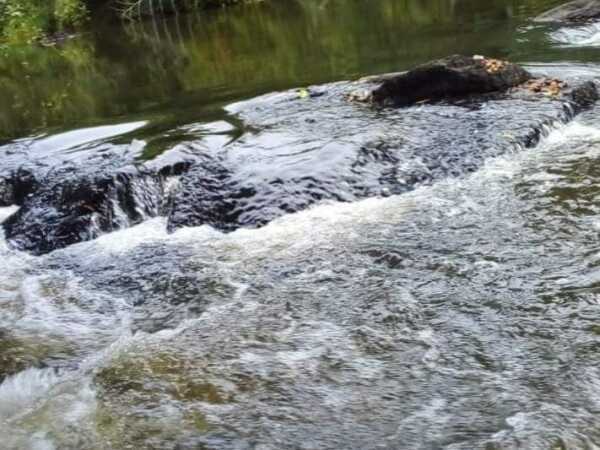 Propiedad en venta de 41 ha en pdte franco, foto 3