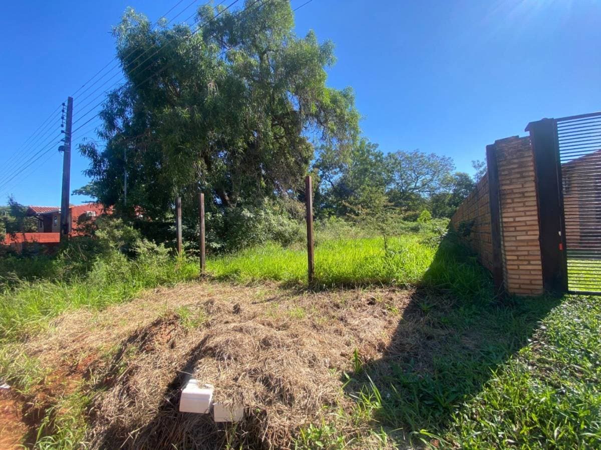 TERRENO AMURALLADO, ruta Luque - Limpio, foto 3