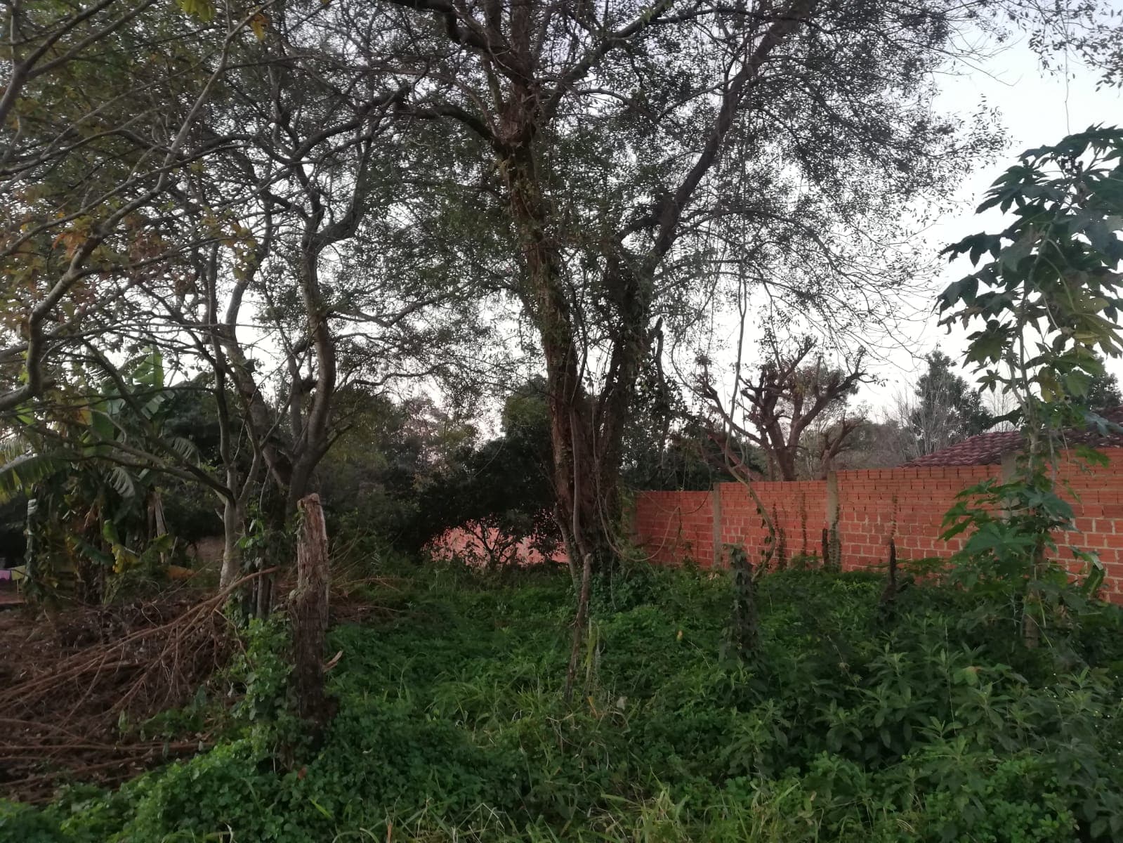 Se vende amplio terreno en piribebuy, foto 1