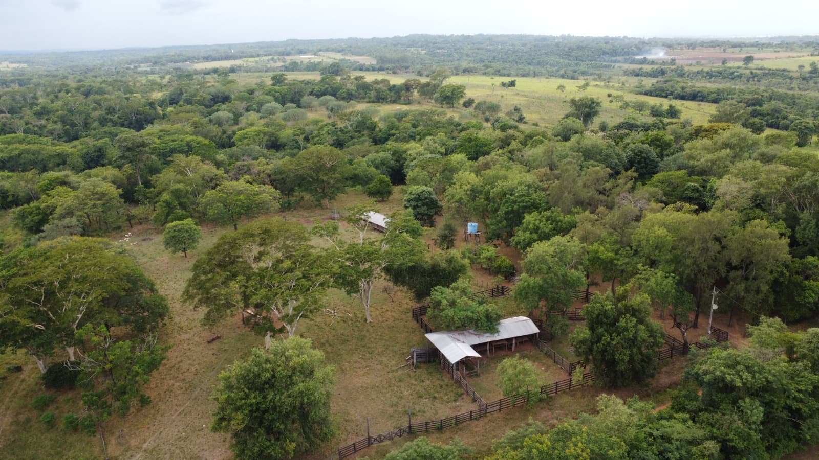 Propiedad rural de 200 ha en zaaguazú, foto 3