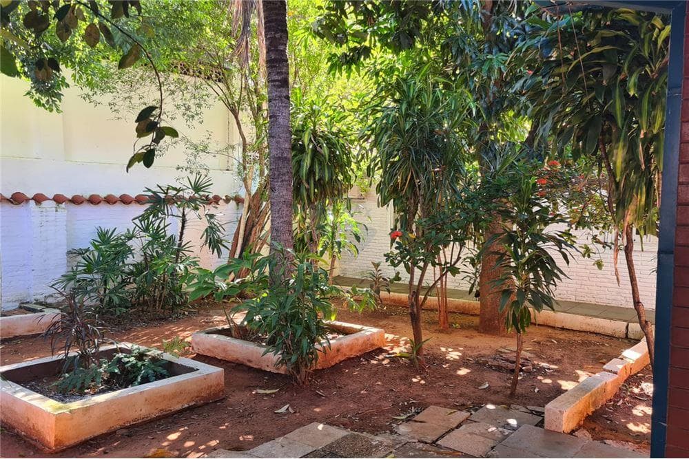 Terreno los laureles, foto 4