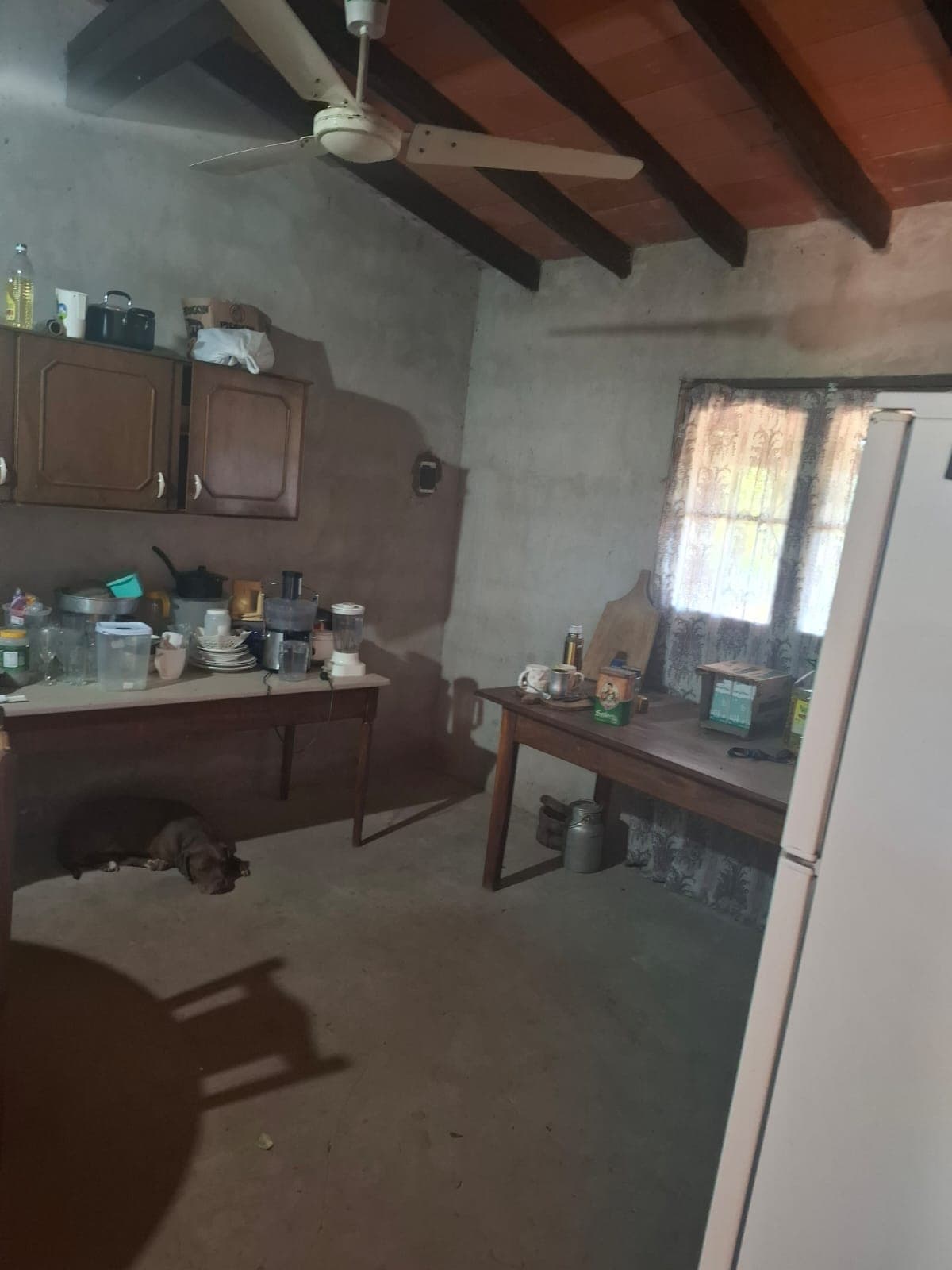 Propiedad De 6 Hectareas En Nueva Italia 140 Millones Por Hectareas — foto 4