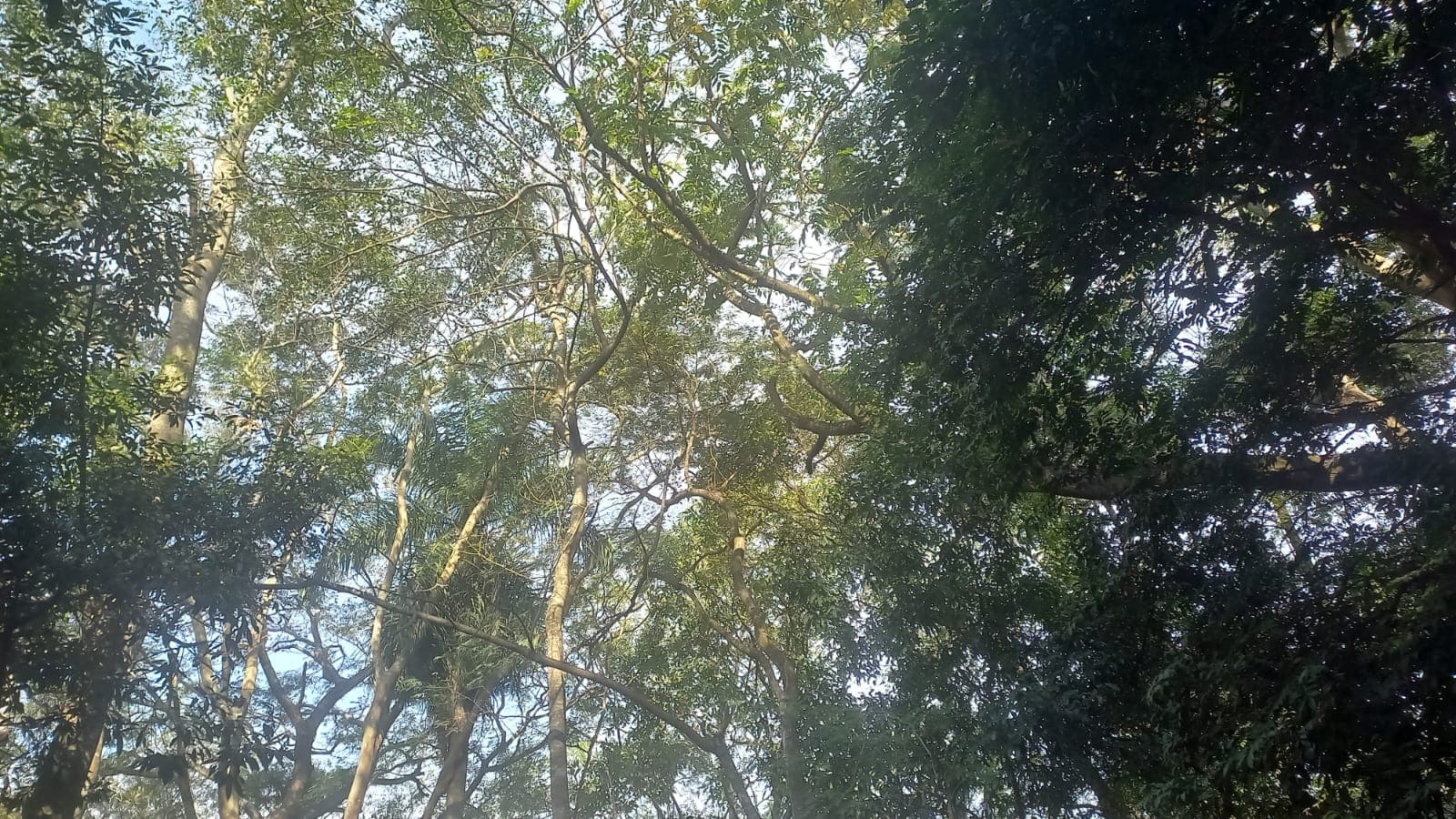 Terreno De 1191 M2 En Surubi´I Club De Campo Trato Directo Con Propietario — foto 3