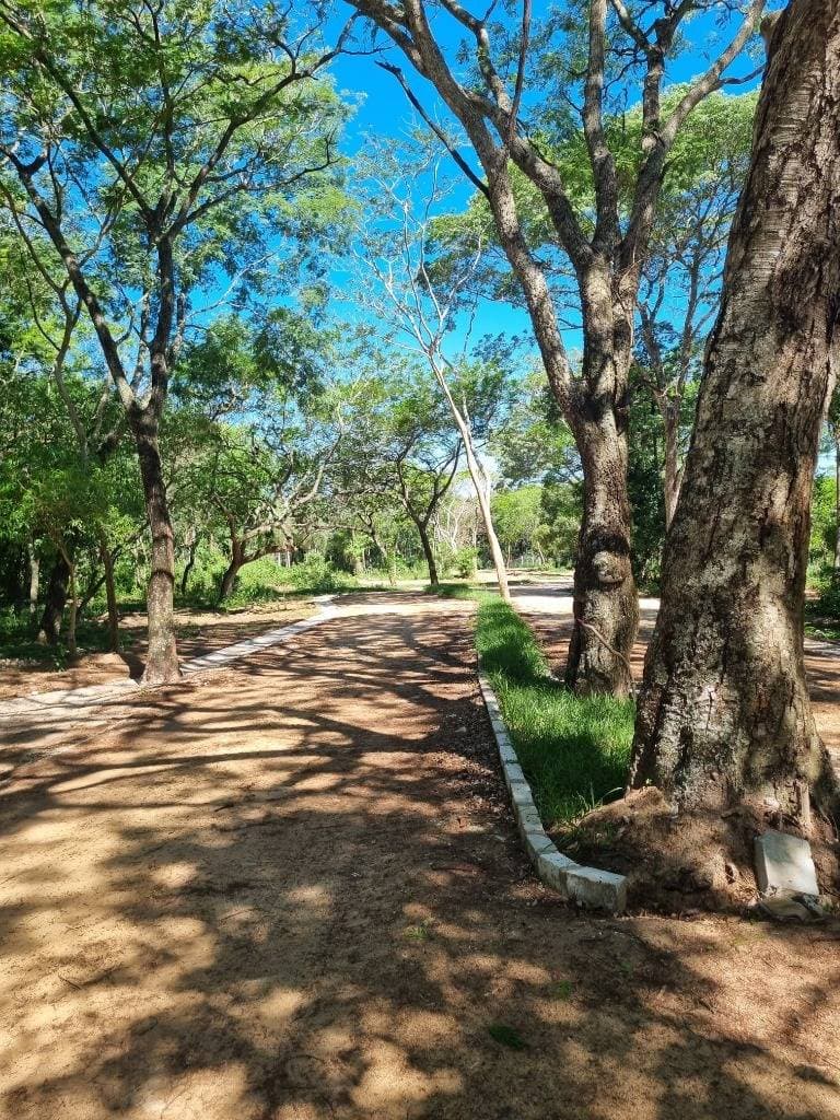 Terreno en Piedras Blancas - San Bernardino, foto 5