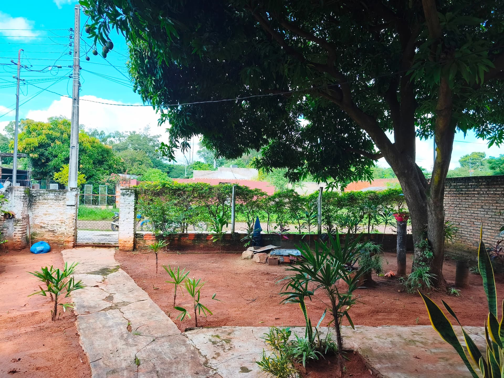 Casa à Venda – Imóvel De 3 Ambientes Com Amplo Pátio, foto 4