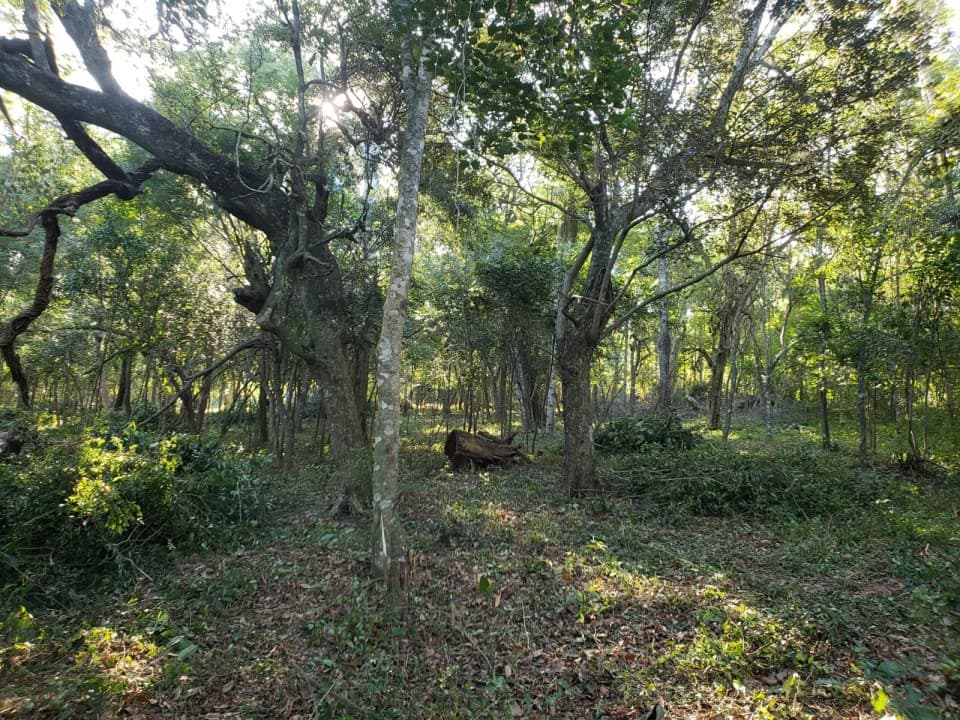 Venta terreno en Altos