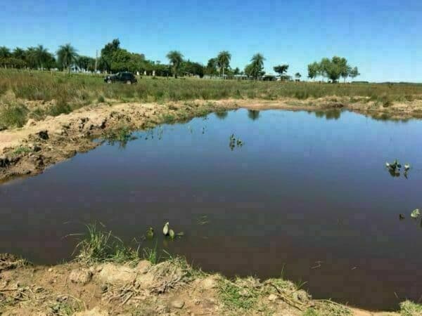 Campo De 90 Has.en Potrero Ybycui Departamento De Paraguari, foto 5