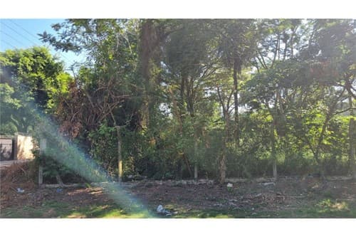 Vendo terreno amplio en lambare