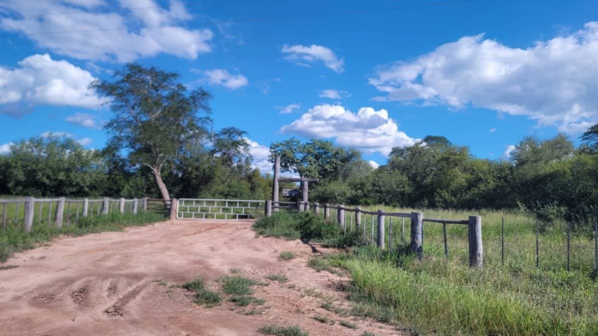 - Estancia Palo Santo 801 ha llave en mano - Irala Fernández, Pdte. Hayes, foto 1