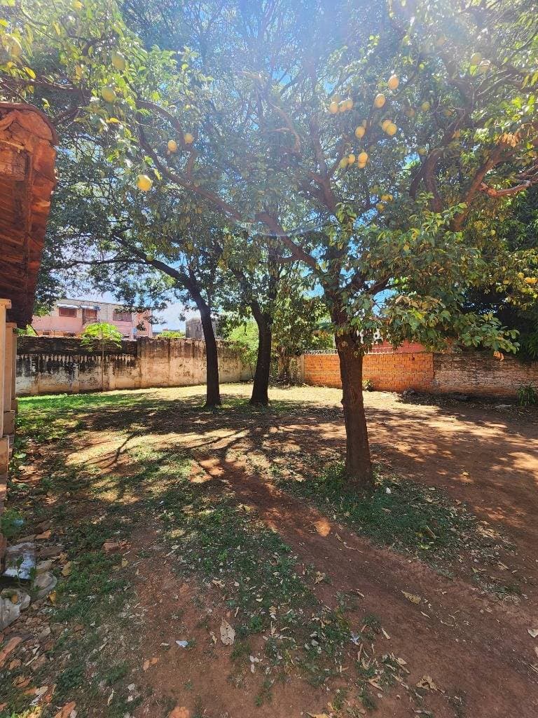 2 terrenos juntos en el centro de Luque - de calle a calle, foto 4