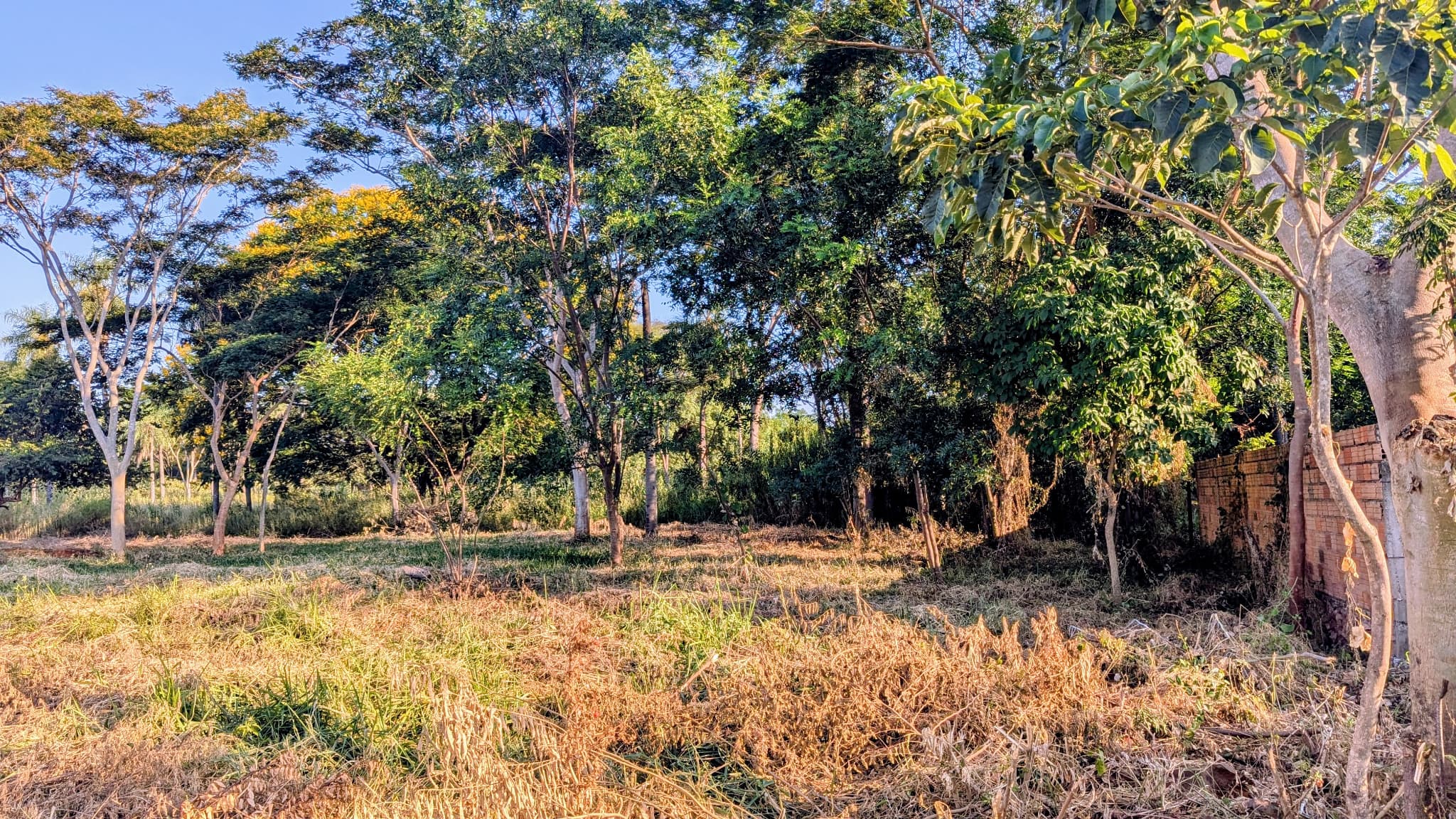 Terreno en esquina en limpio - b° isla aranda — foto 2