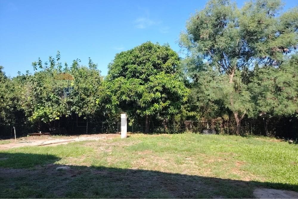 Local Comercial - Alquiler - San Lorenzo, Paraguay, Es lo que buscas!, foto 4