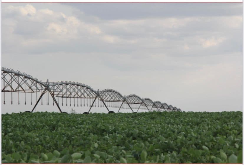 Campo de 9.158 Hectáreas en Ita Verá, Amambay-CLCS5654176, foto 4