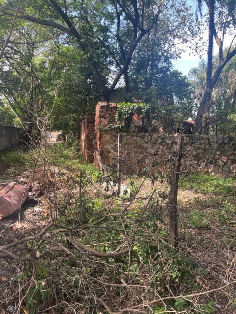 Terreno Mariano Roque Alonso, foto 2