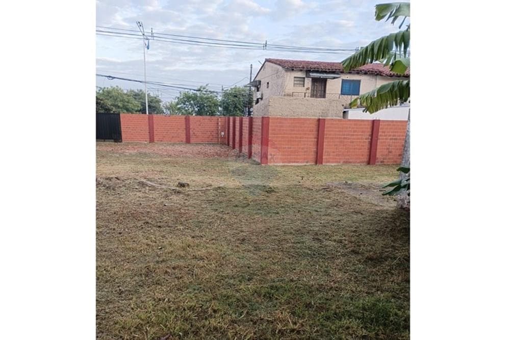 terreno en Luque — foto 5