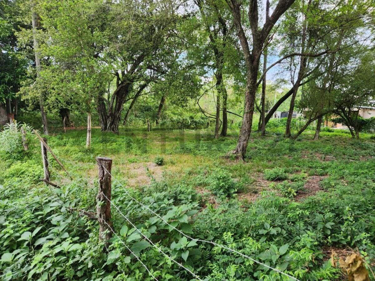 Terreno en Venta en San Bernardino, Barrio Ciervo Kua