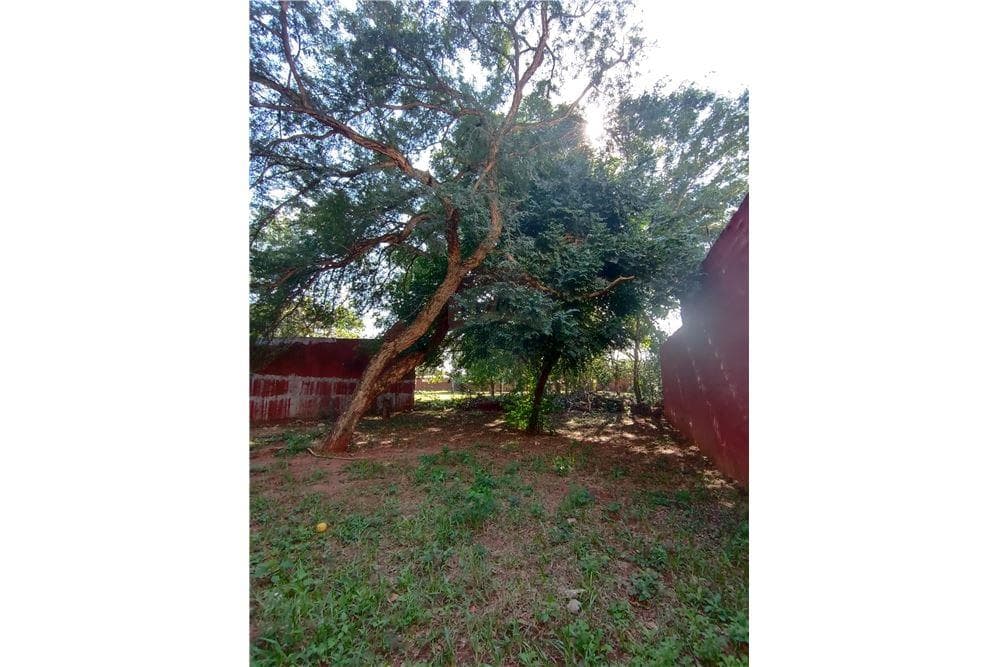 Hermoso terreno en m.r.a, foto 4