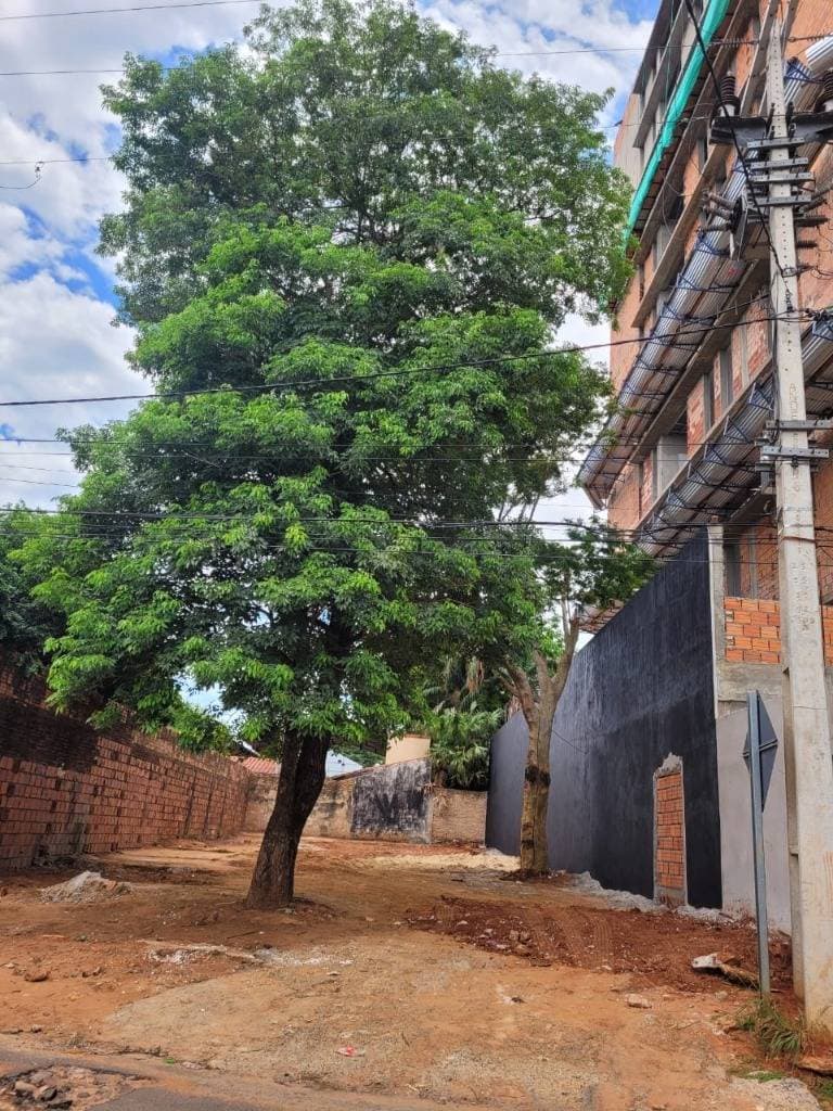 Terreno en Fernando de la Mora zona norte, foto 3