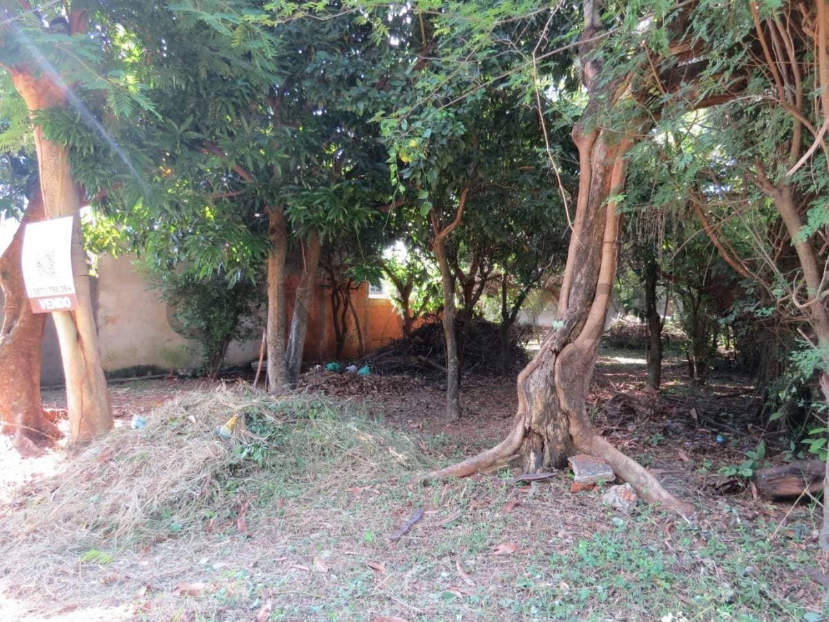 de Terreno en Luque, Central, foto 5