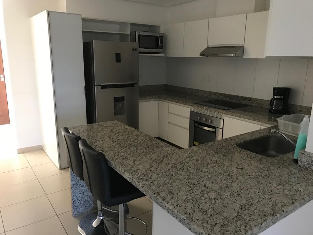 Hermoso departamento 2 dormitorios full amoblado, foto 3