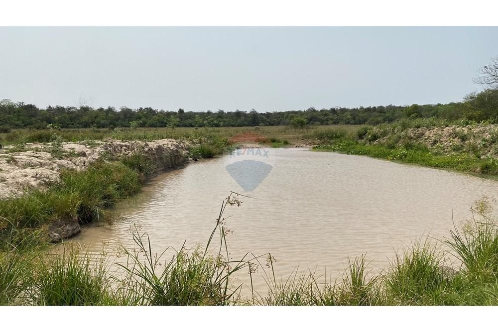 Estancia/campo - Venta - Simón Bolívar, Paraguay, foto 2