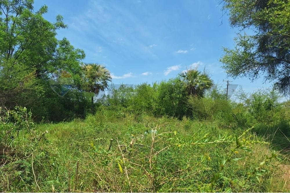 Terreno en venta-villa jardin-limpio, foto 3