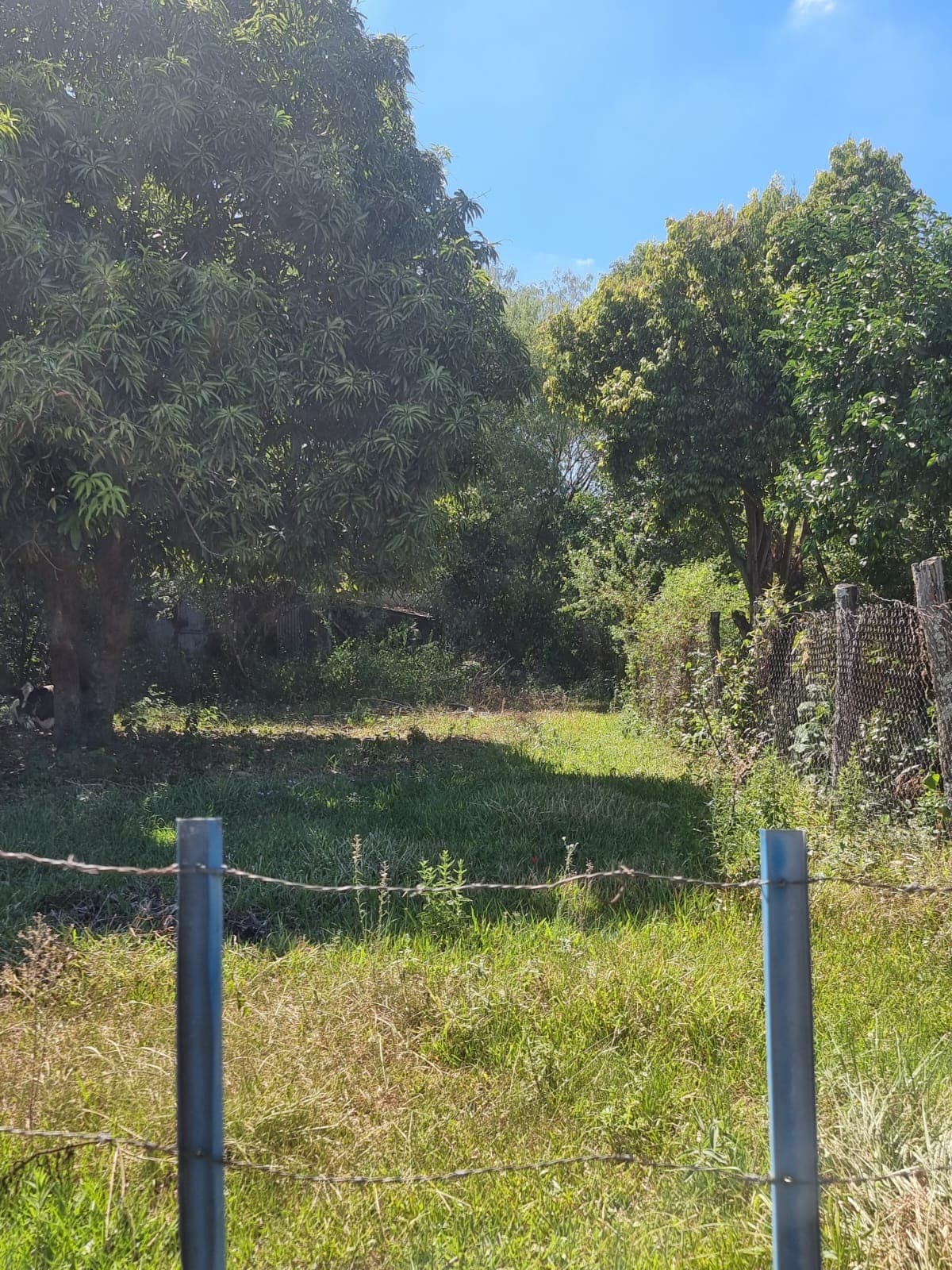 Terreno En Venta, Zona Isla Aranda De Limpio — foto 3