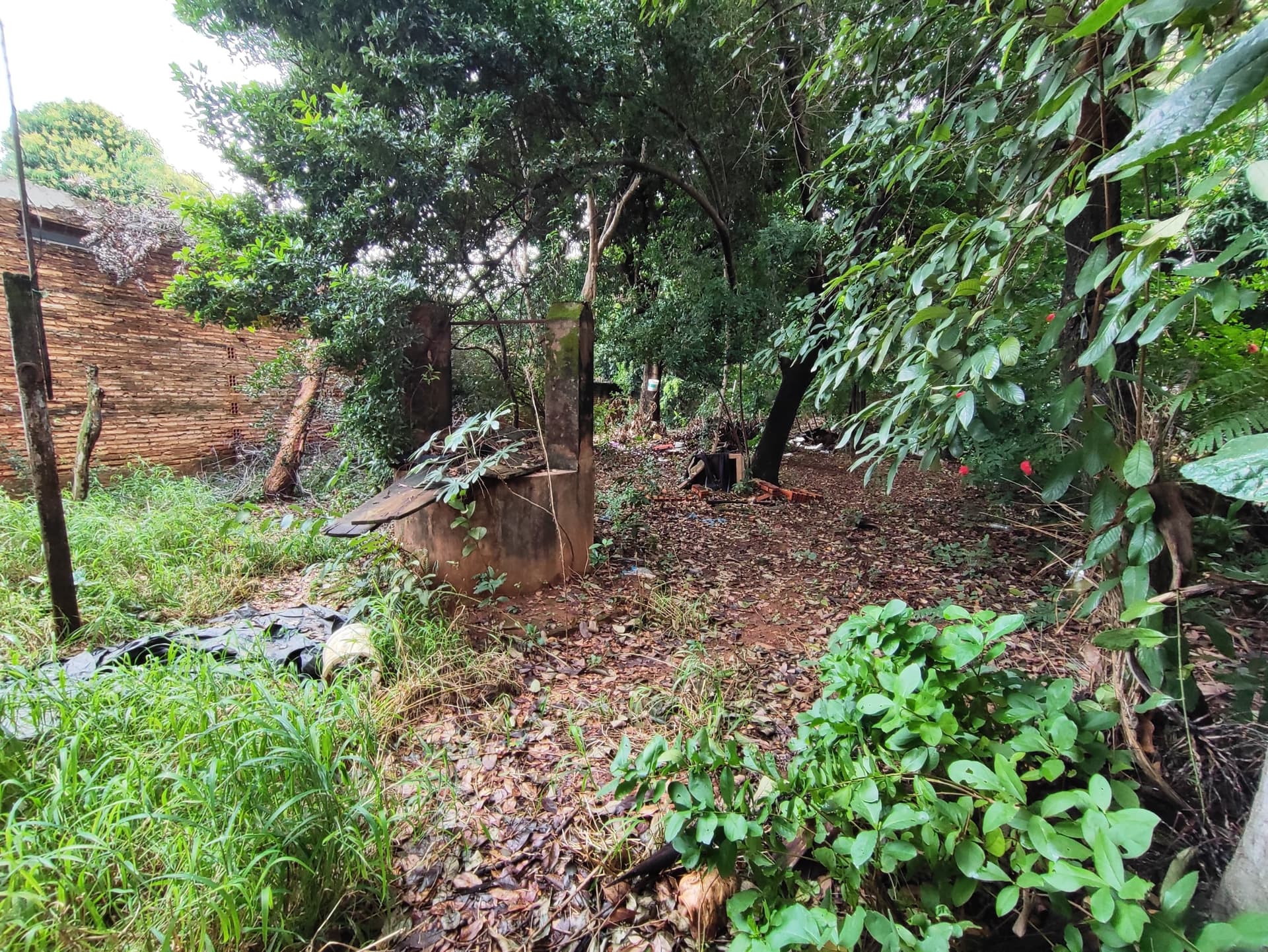 Terreno en campo grande Luque zona cit, foto 2
