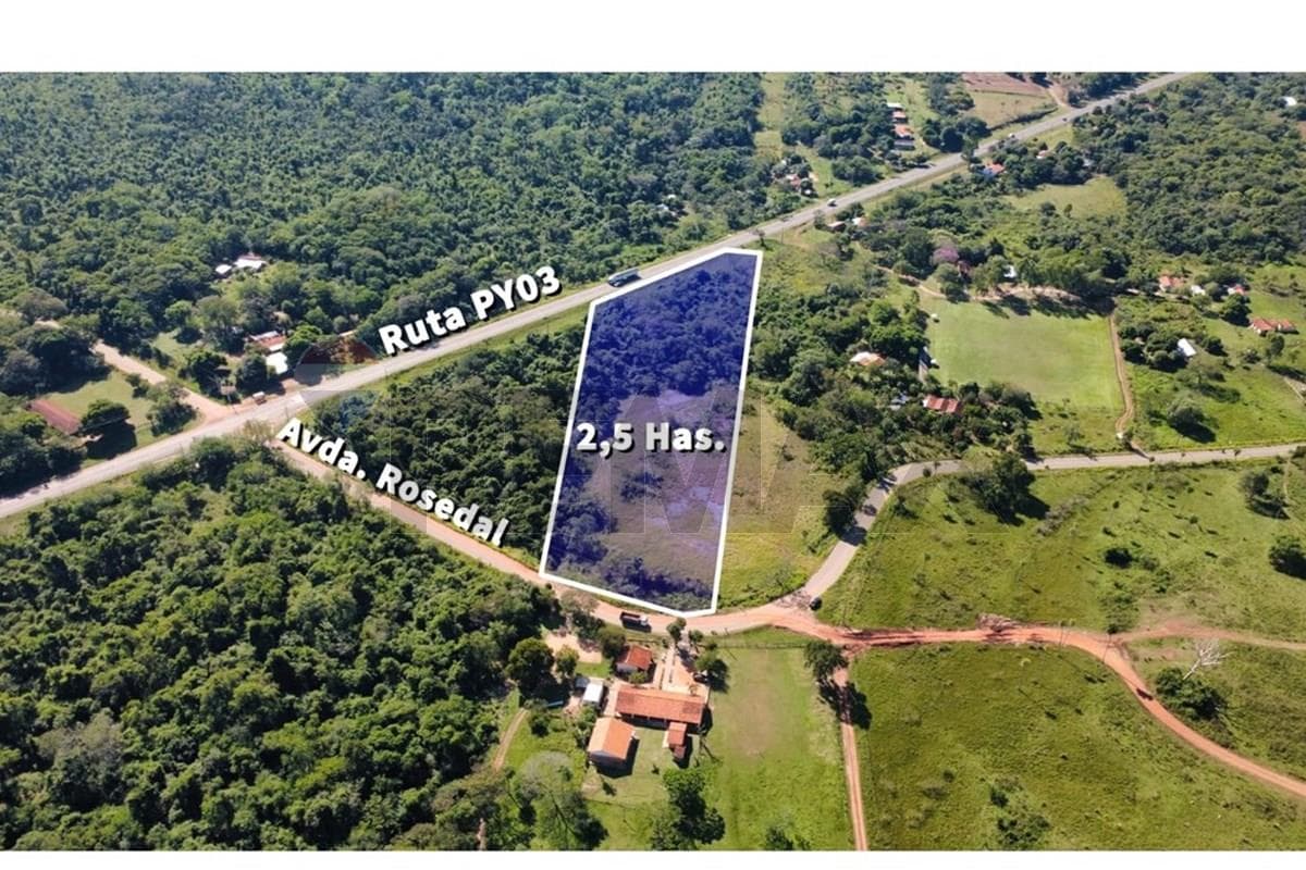 Terreno de 2,5 Hectáreas sobre Ruta Principal en Arroyos y Esteros, foto 4