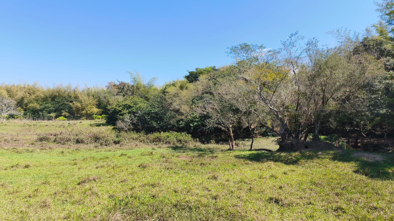 70 hectareas en paraguari, foto 3