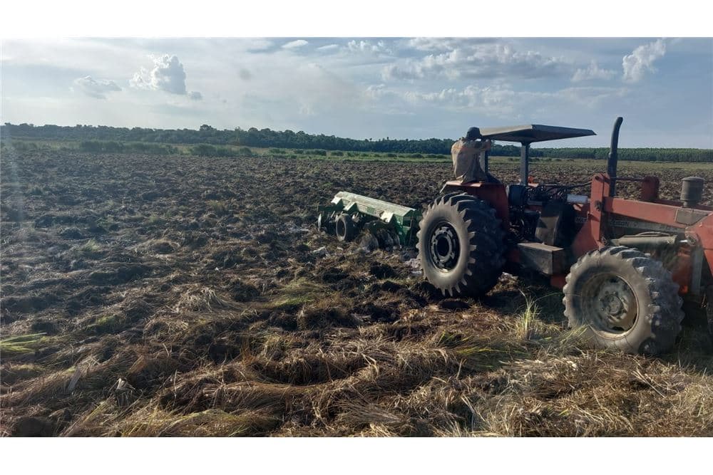 Campo productivo en san juan nepomuceno, foto 2